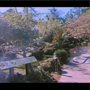 Meet your Posher, Haylie